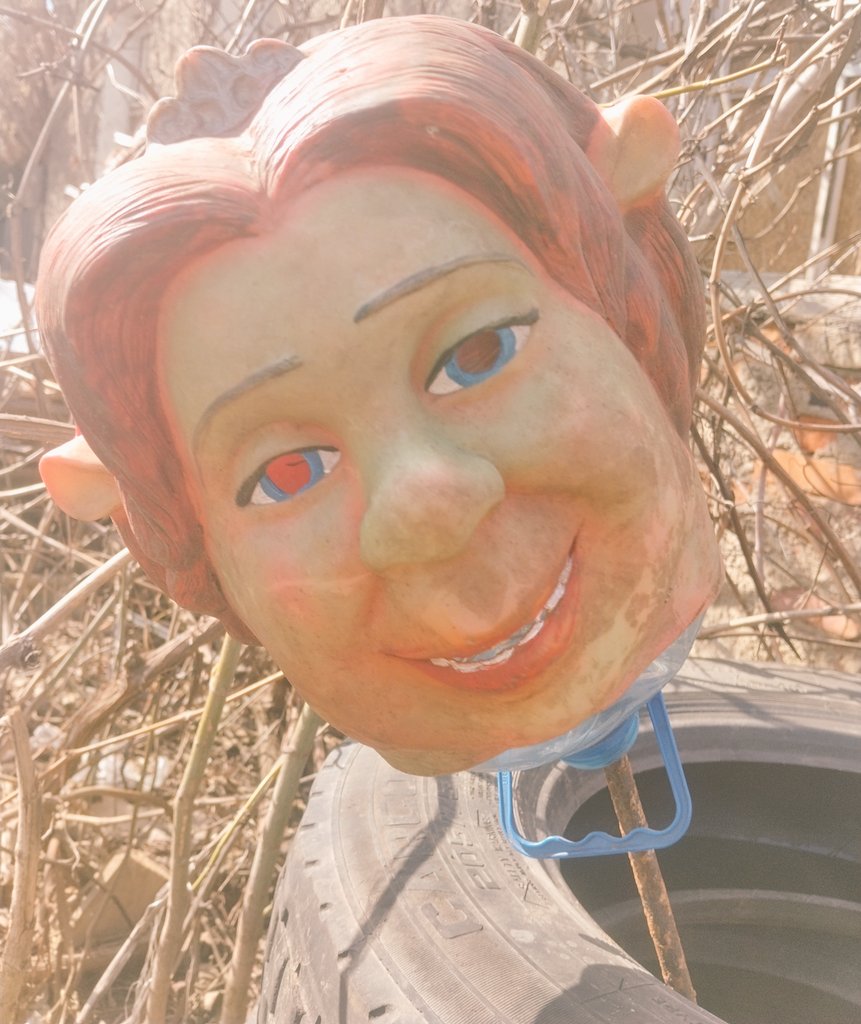 Karolina Kuzema tweet media