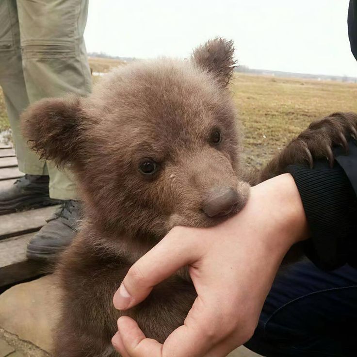 amelie ۶ৎ tweet media