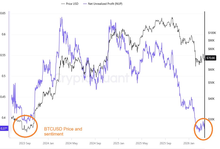 Grega Horvat tweet media