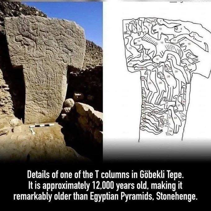 Unearthed 🏺 tweet media