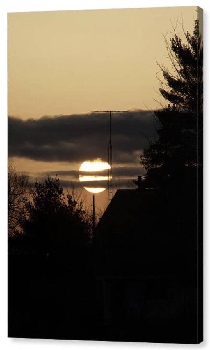 Shonna Hawkins Photography tweet media