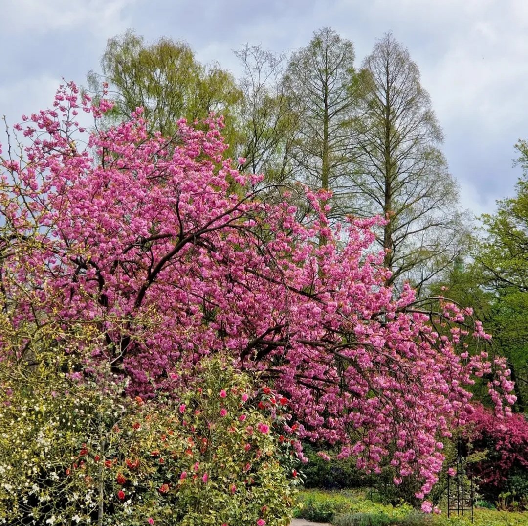 🕷️🕸️🃏Fabiana🃏🕸️🕷️ tweet media