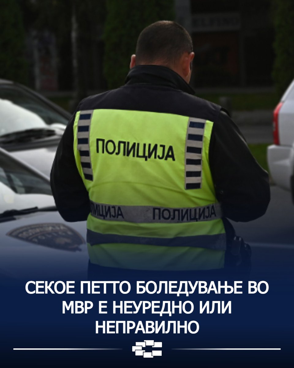 Сафра Шпанец tweet media