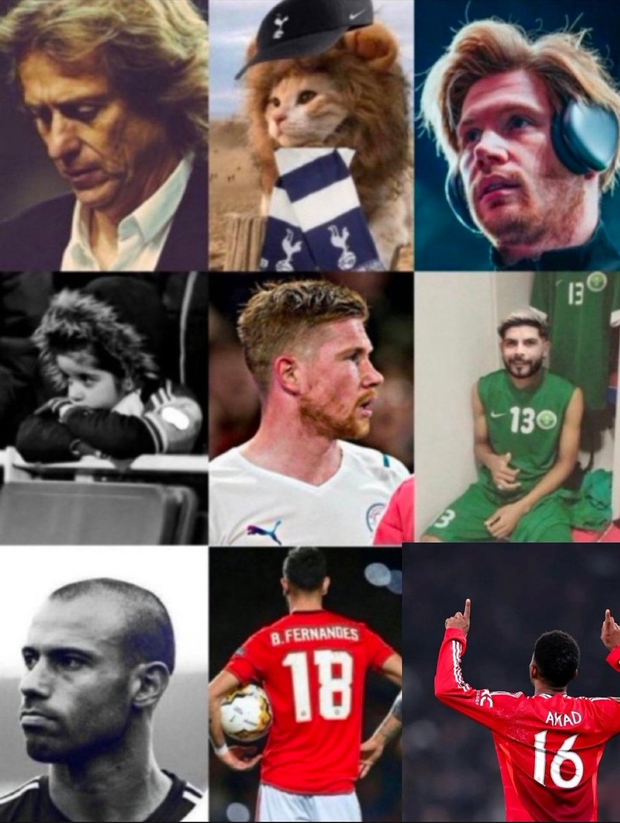 فارس tweet media