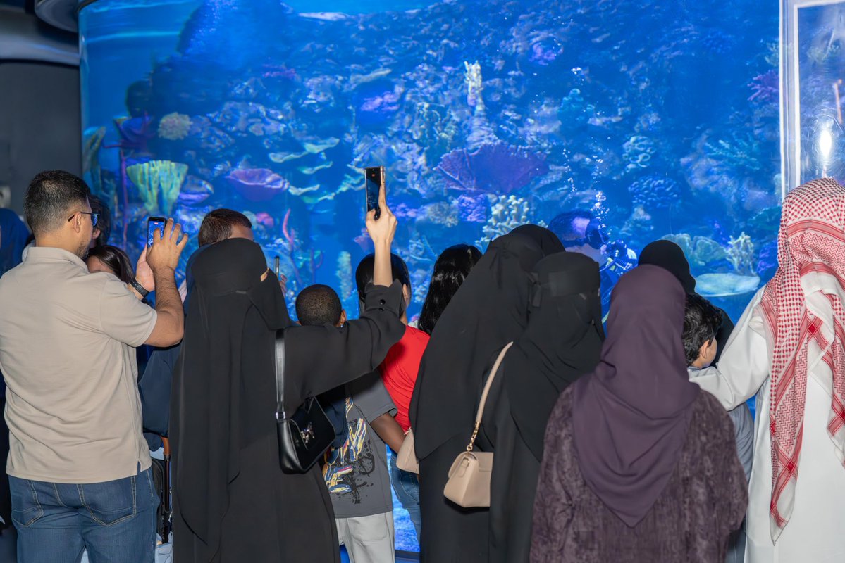 Scitech مركز سايتك tweet media