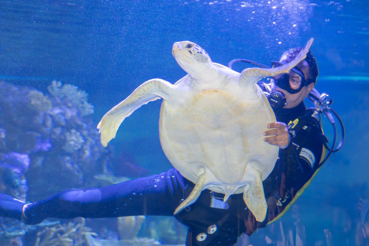 Scitech مركز سايتك tweet media