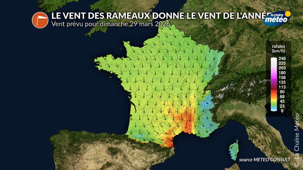 lachainemeteo's tweet image. 👉 “Vent des #Rameaux, vent de l’an” 🌬️
Selon ce dicton, le #vent observé ce dimanche donnerait la tendance de l’année, surtout de l'été… il sera orienté nord à nord-ouest 🌬️
Un signe d’année fraîche ? Pas vraiment : aucune base scientifique, mais une tradition toujours
