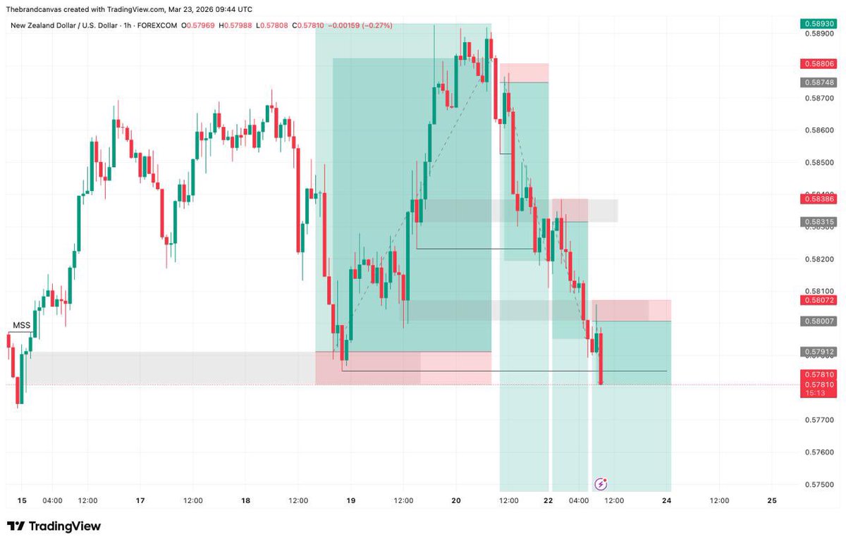 Thebrandcanvas | Building Forex Canvas tweet media