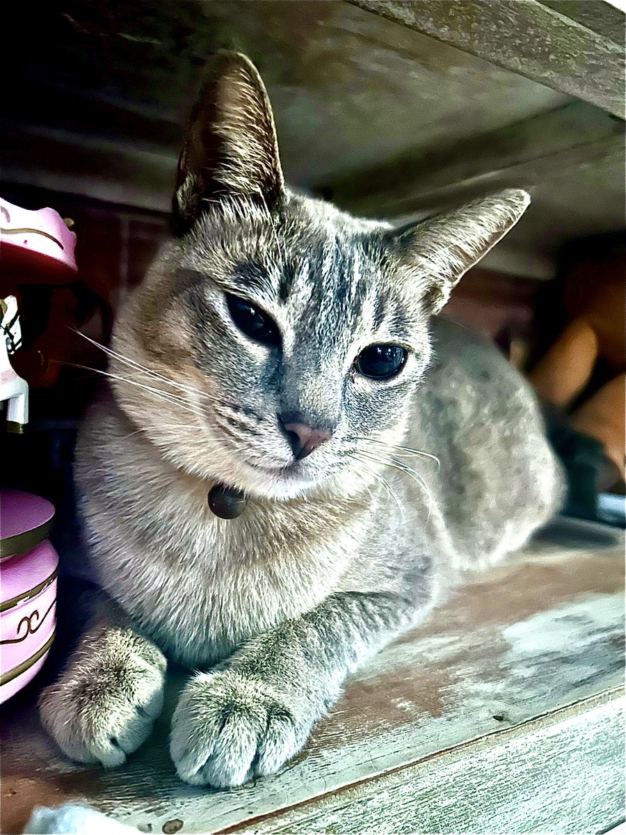chiizana's tweet photo. Semakin banyak Kami memiliki kenangan itu semakin sakit jika Kami ingin melupakannya. Kadang kenangan bisa membuat bahagia kadang bisa membuat merasa sakit karena harus memiliki kenangan itu https://t.co/2j4sbsapg9