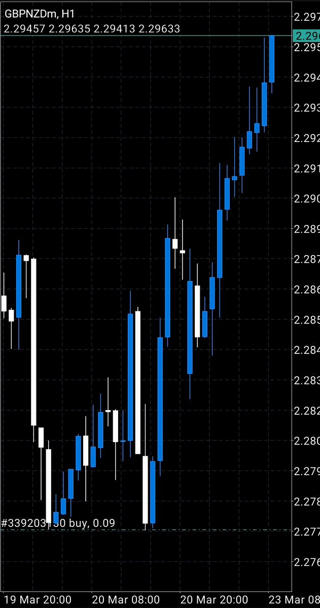BigZig Trade 📈📉 tweet media
