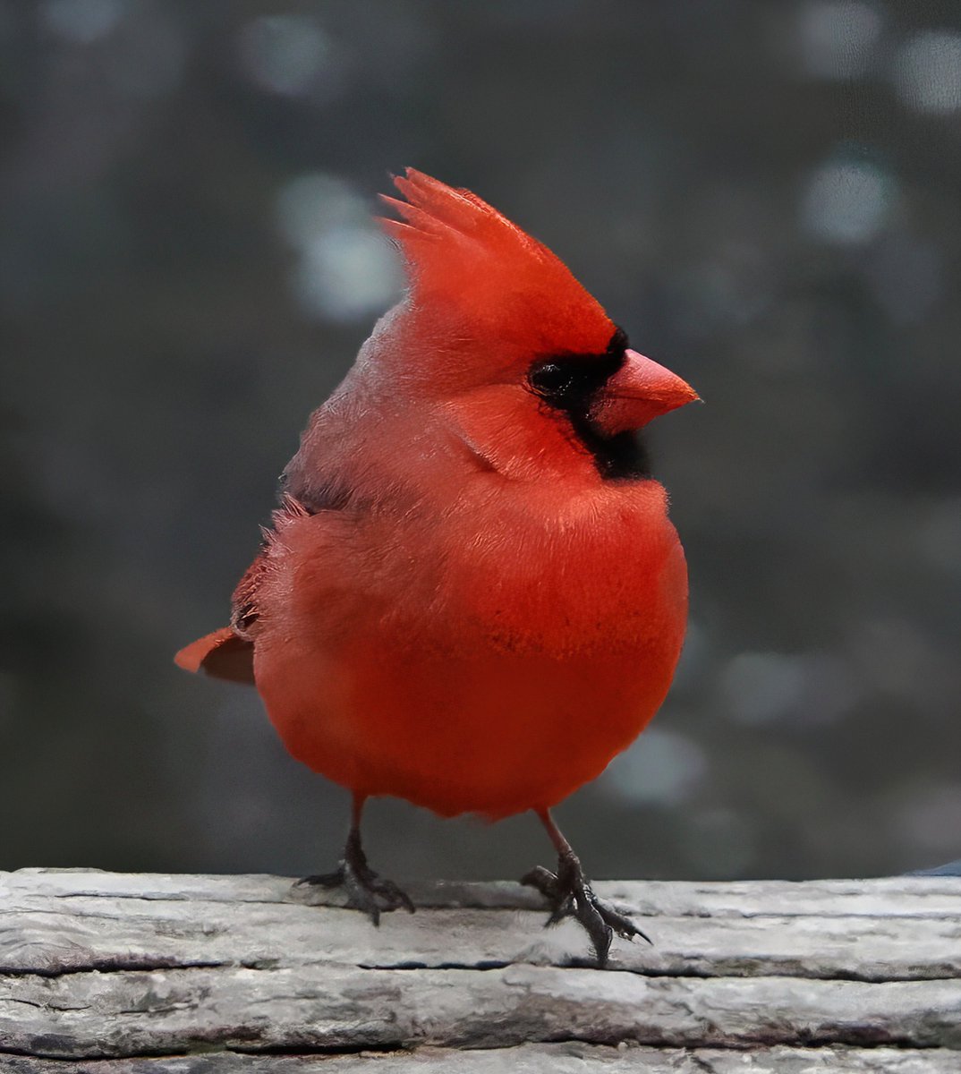 Above_96th tweet media