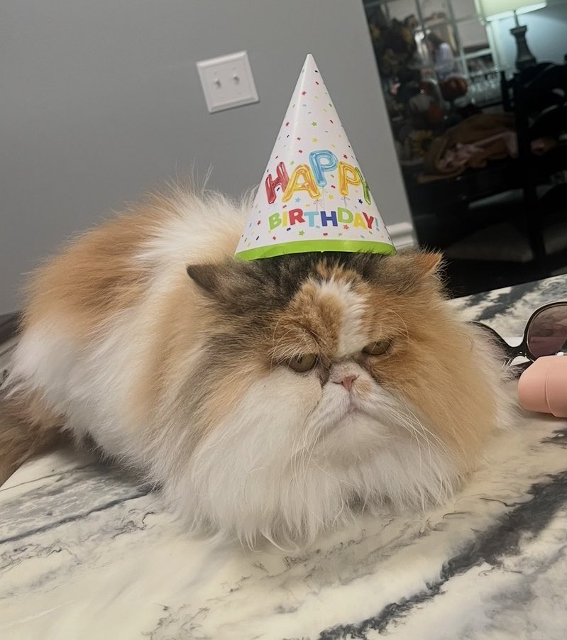 caroline 🪴 tweet media