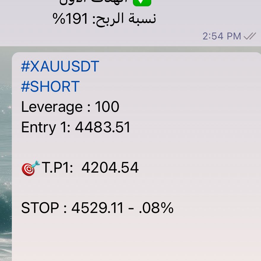 ０２７🇸🇦 tweet media