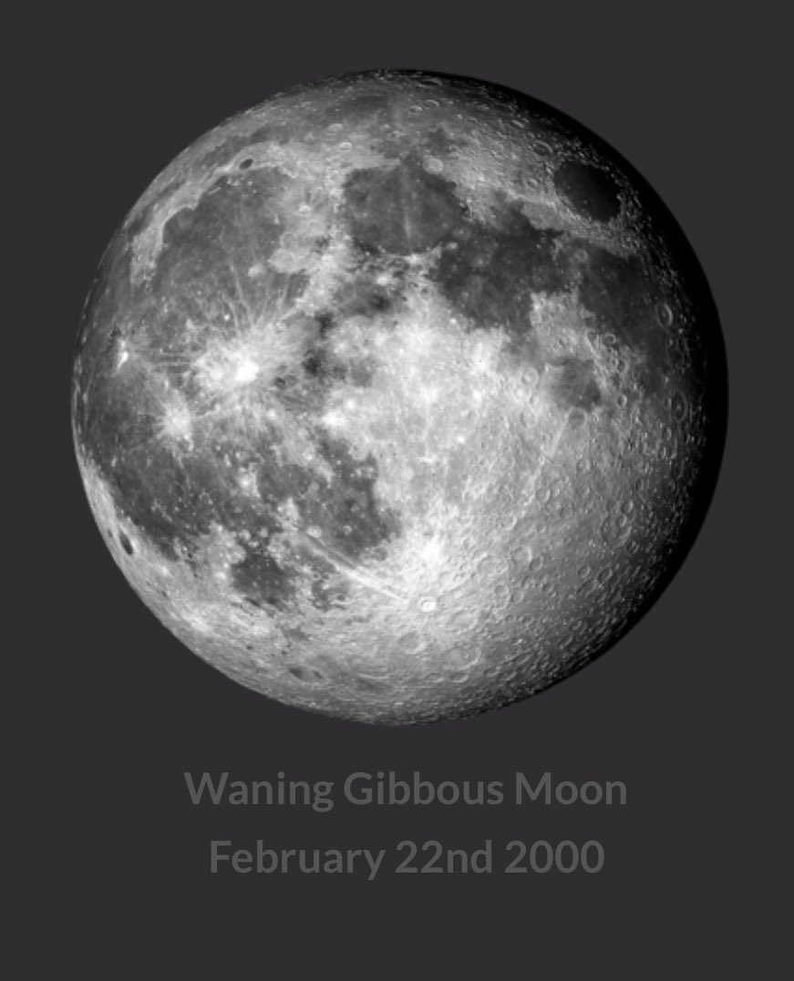 mish 🏒⋆⭒˚.⋆ tweet media