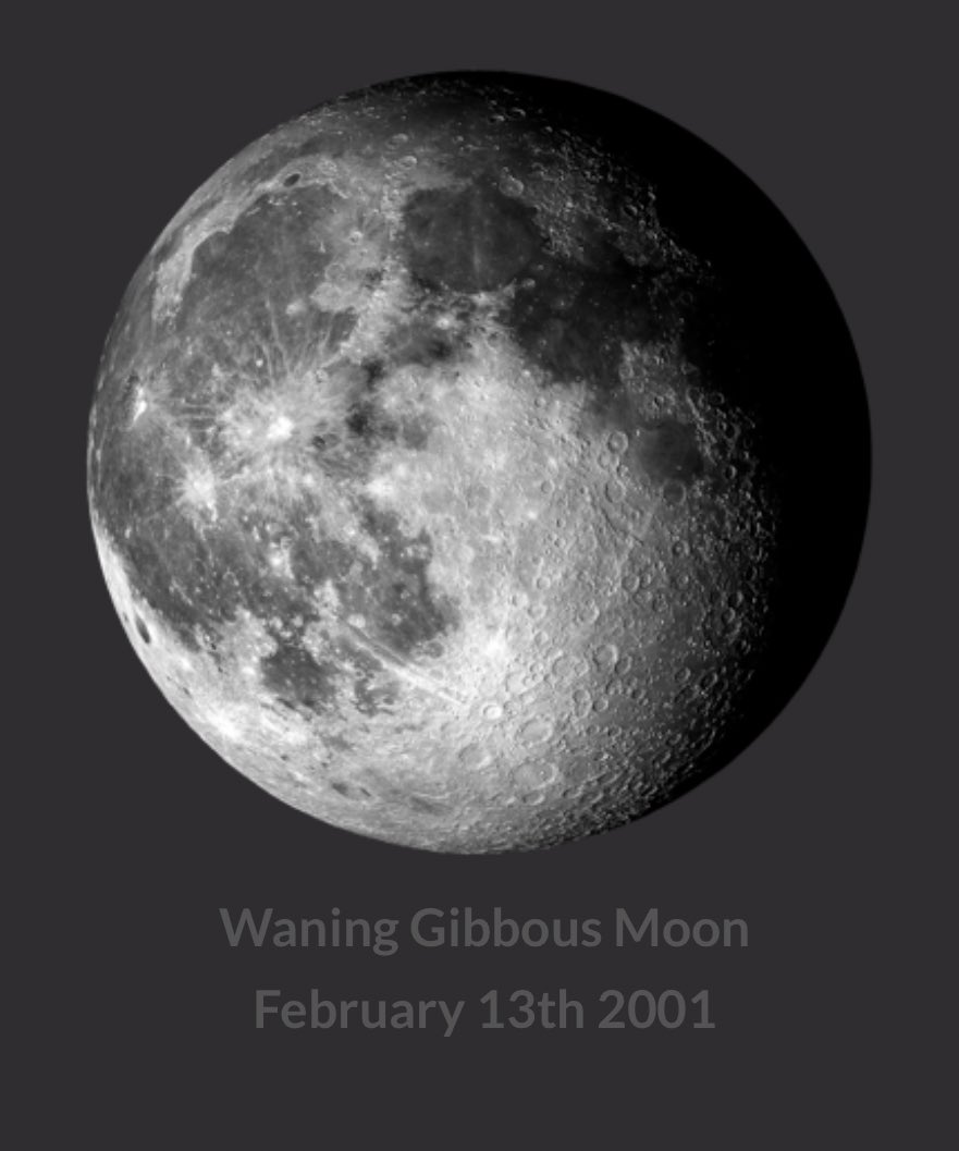 mish 🏒⋆⭒˚.⋆ tweet media