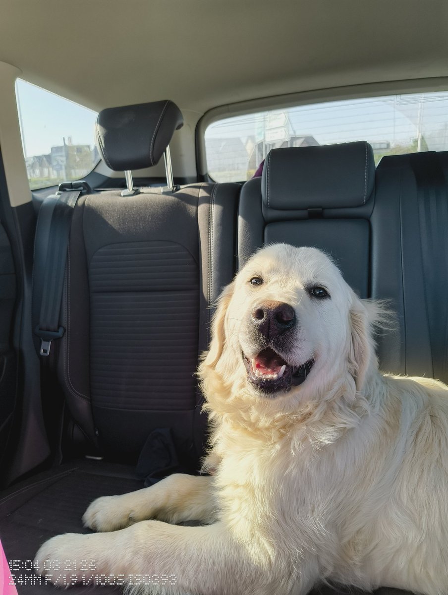 Lammie 🇮🇪🇵🇸 tweet media