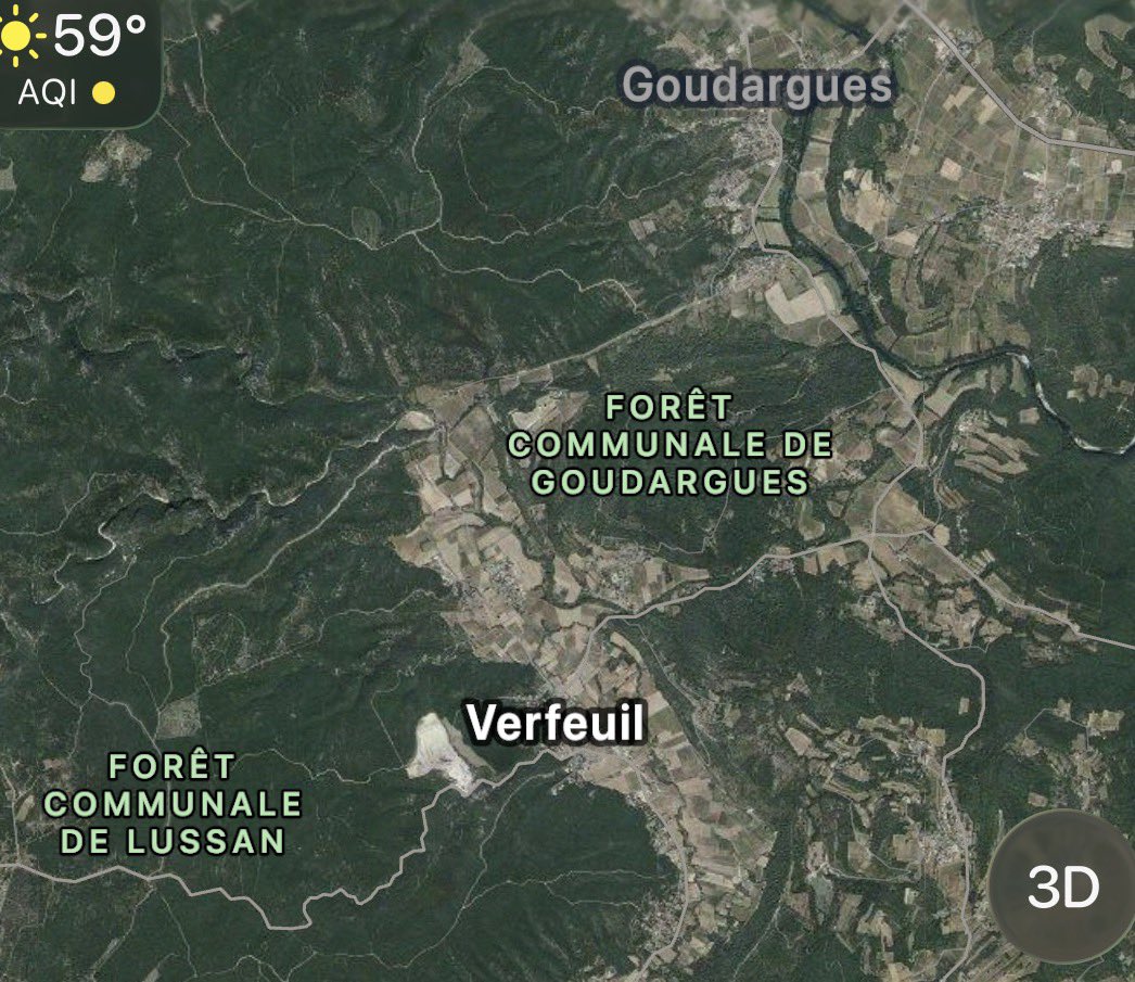 Papybara the President 🇺🇸 tweet media