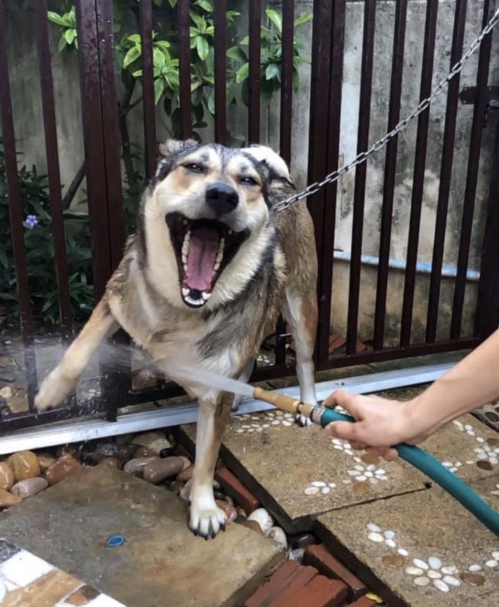 HaTa はた tweet media