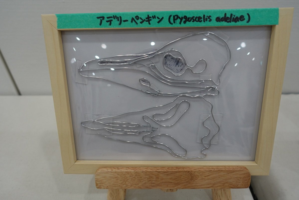 ぺん長です
今日の一枚はこちら
#ペンギンアート展ファイナル 
#ペンギンアート展
#ペンギンアート展祭りの後