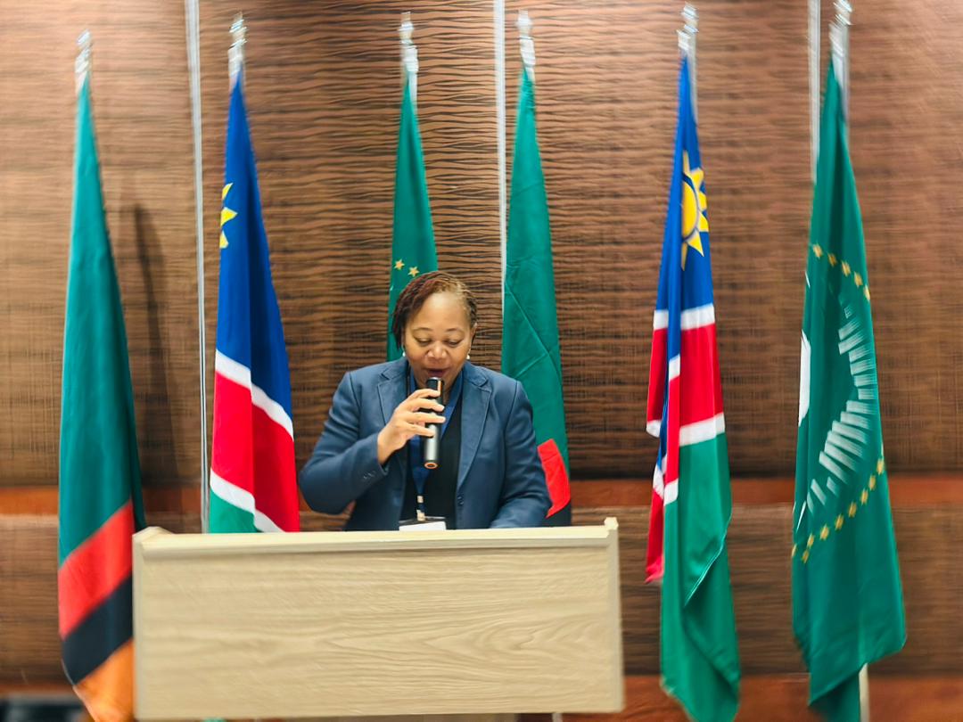 NamRA_org_na's tweet image. Namibia 🇳🇦 &amp;amp; Zambia 🇿🇲 meet in Windhoek for the Katima Mulilo OSBP JTC, ahead of the JSC and Signing Ceremony.

#NamRA #ServingWithPassion #OSBP