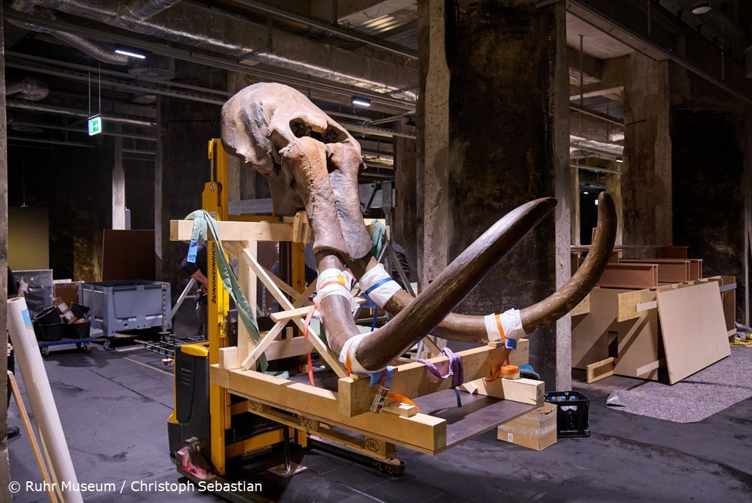 Ruhr Museum tweet media