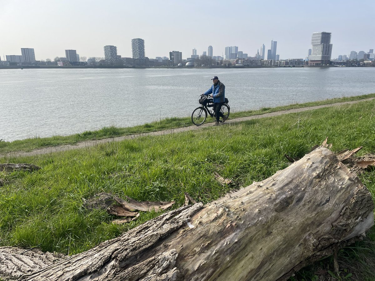 Marjolijn vd Assem tweet media