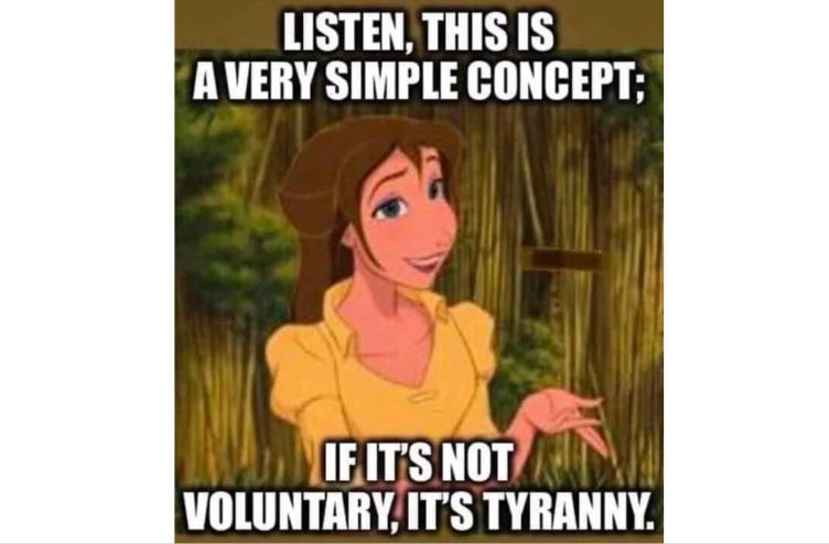 Terri Nelson tweet media