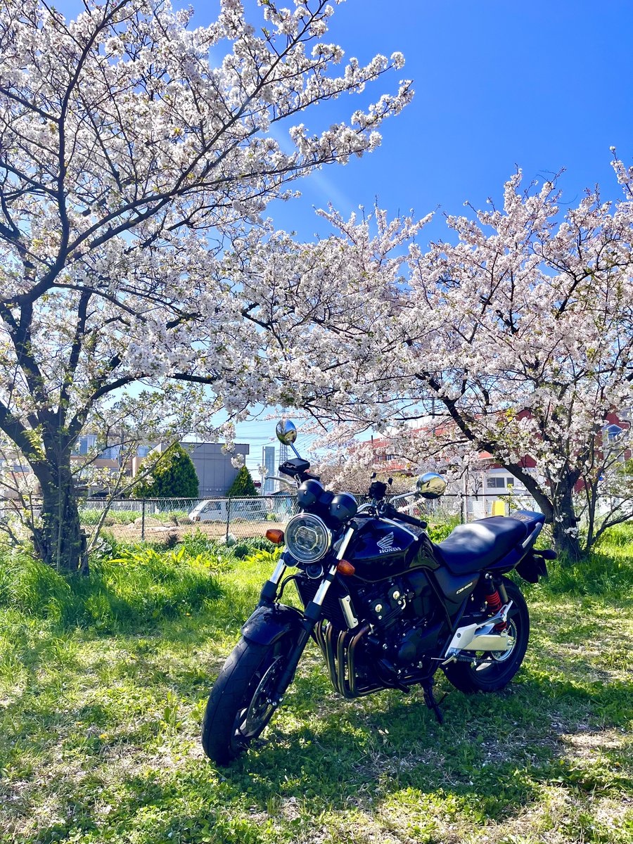 凸凹/Nito❄️☘️ tweet media