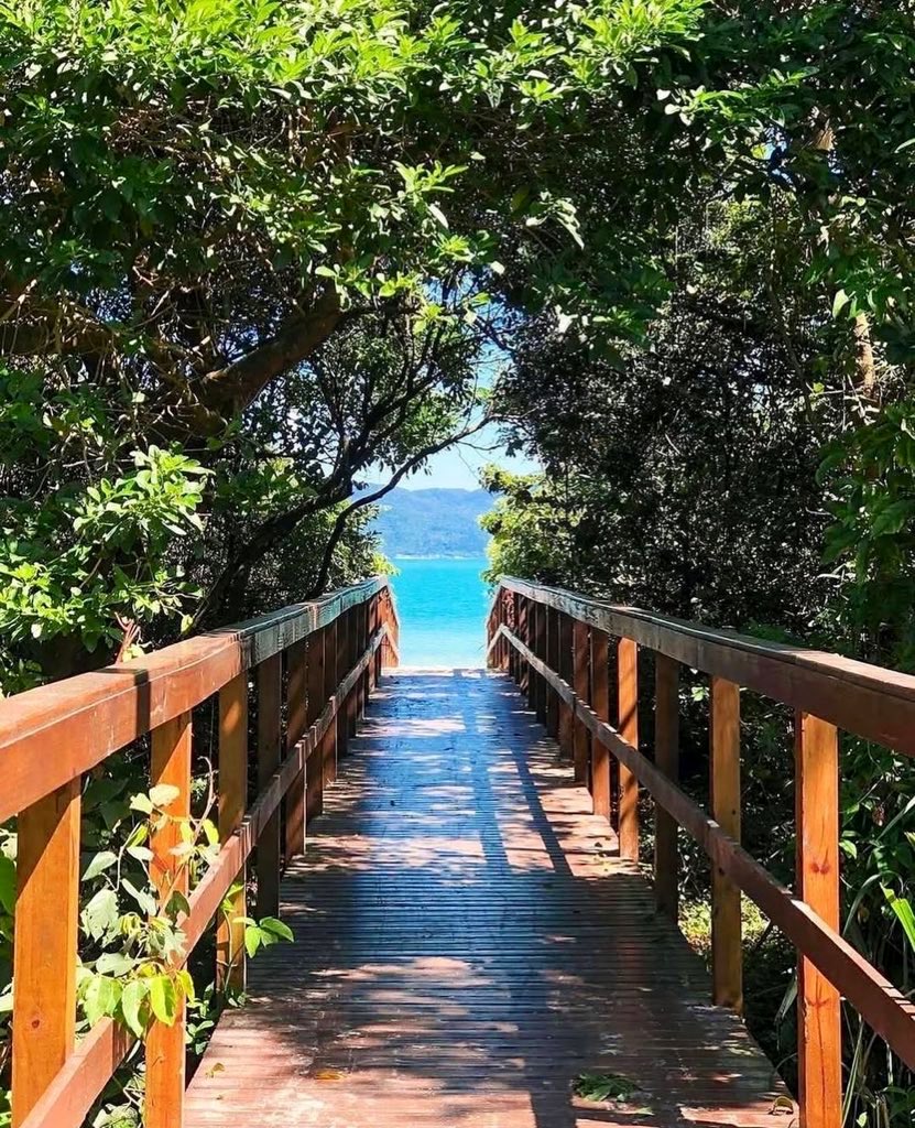 Lina 🌊🐳 tweet media