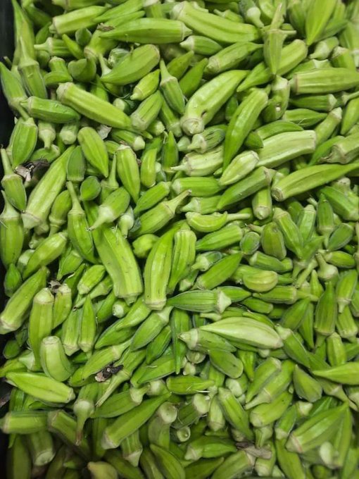 جواهر tweet media