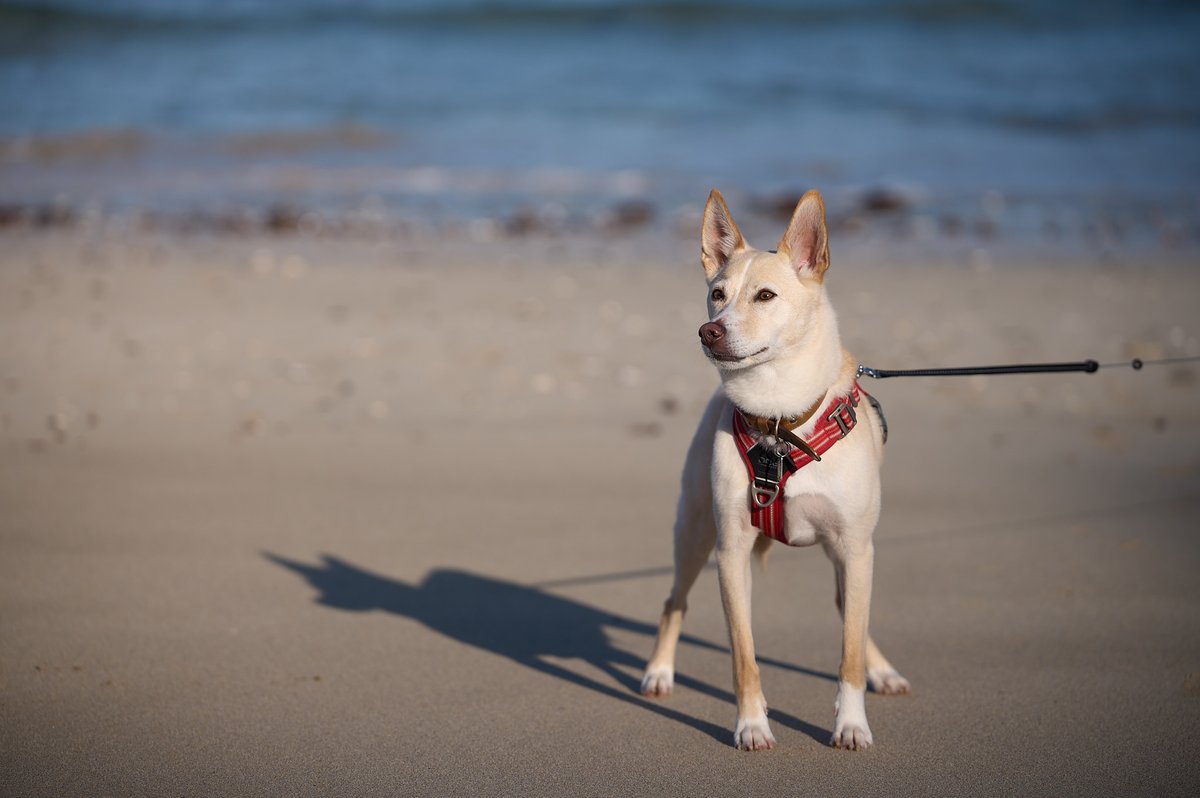 TETSUYA .TED tweet media