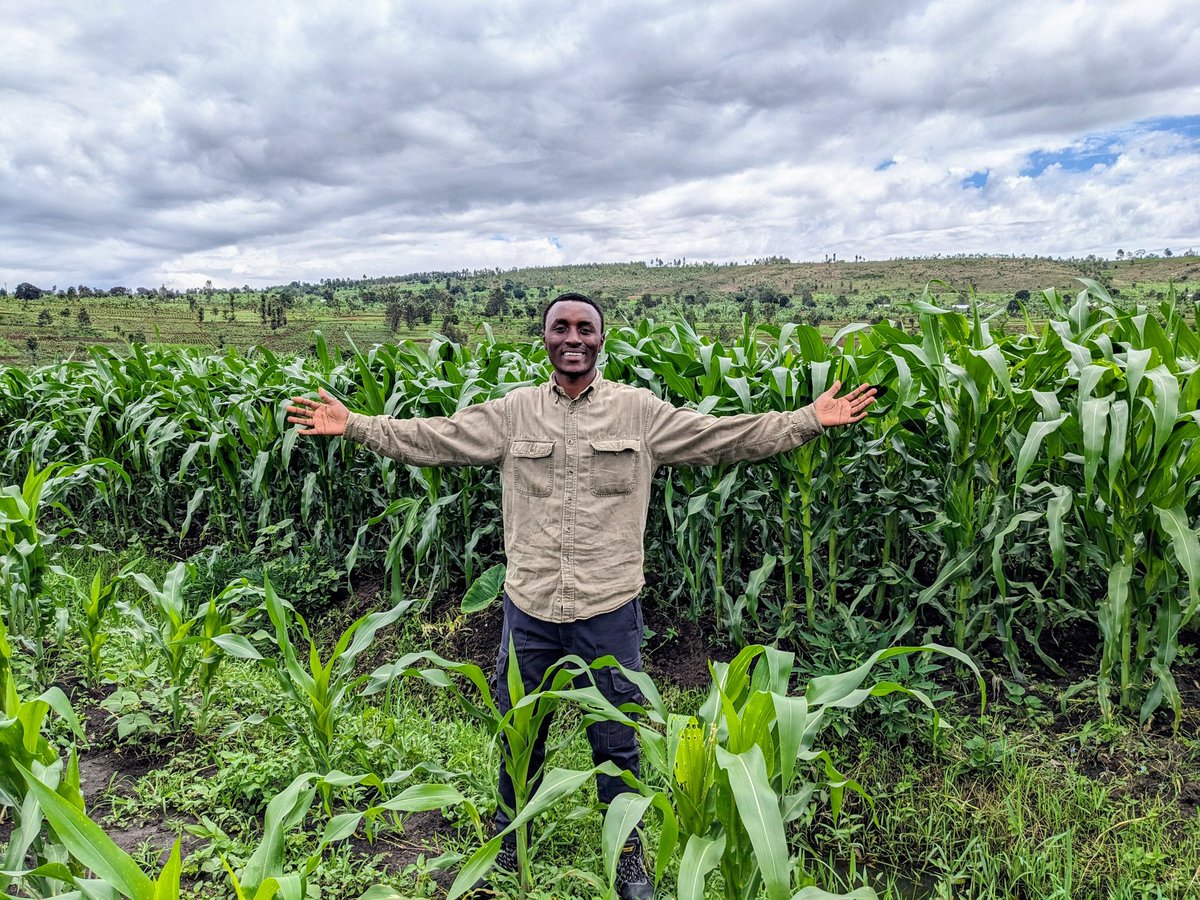 Pacifique DUSABIMANA👨‍🌾 tweet media