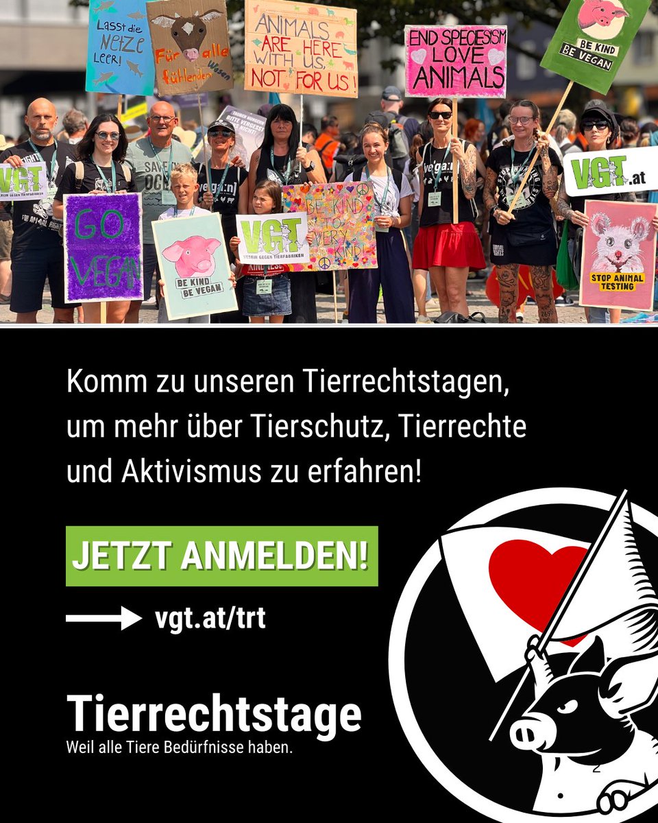 VGT - VEREIN GEGEN TIERFABRIKEN tweet media