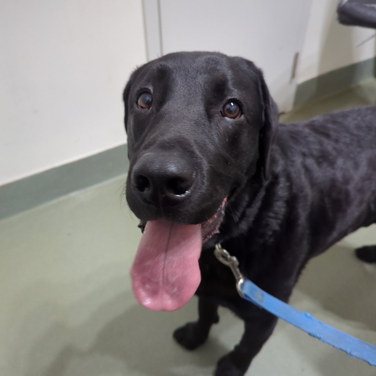 ACID 👽 tweet media