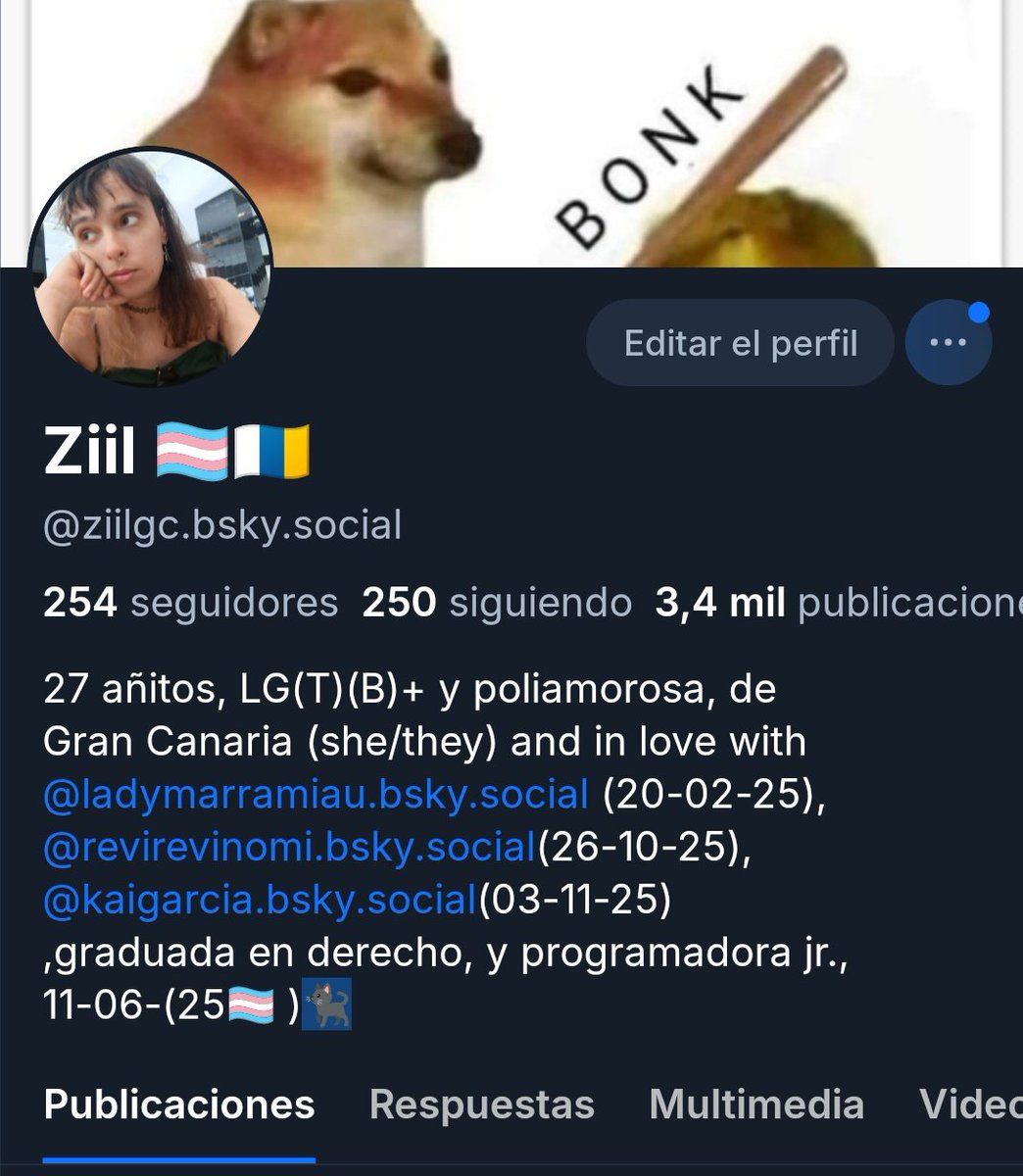 Ziil 🇮🇨 🏳️‍⚧️ tweet media