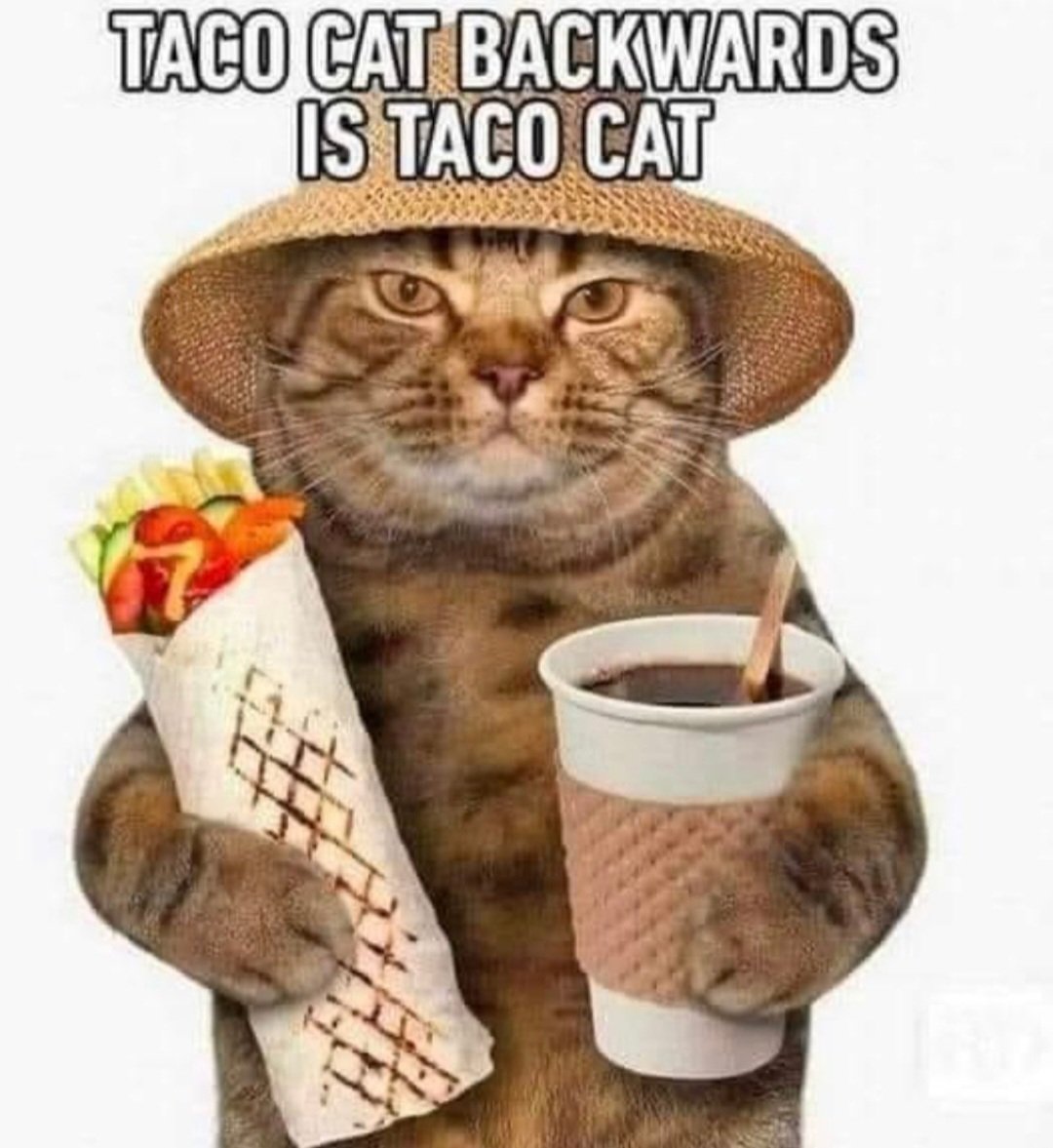 Thursday tweet media