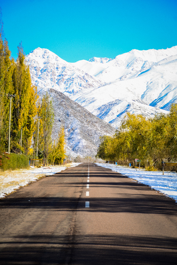 Municipio SMA tweet media