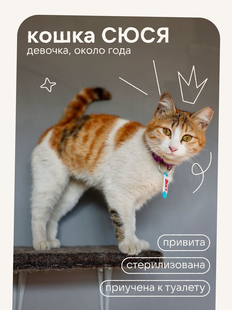 товарищ Верия tweet media