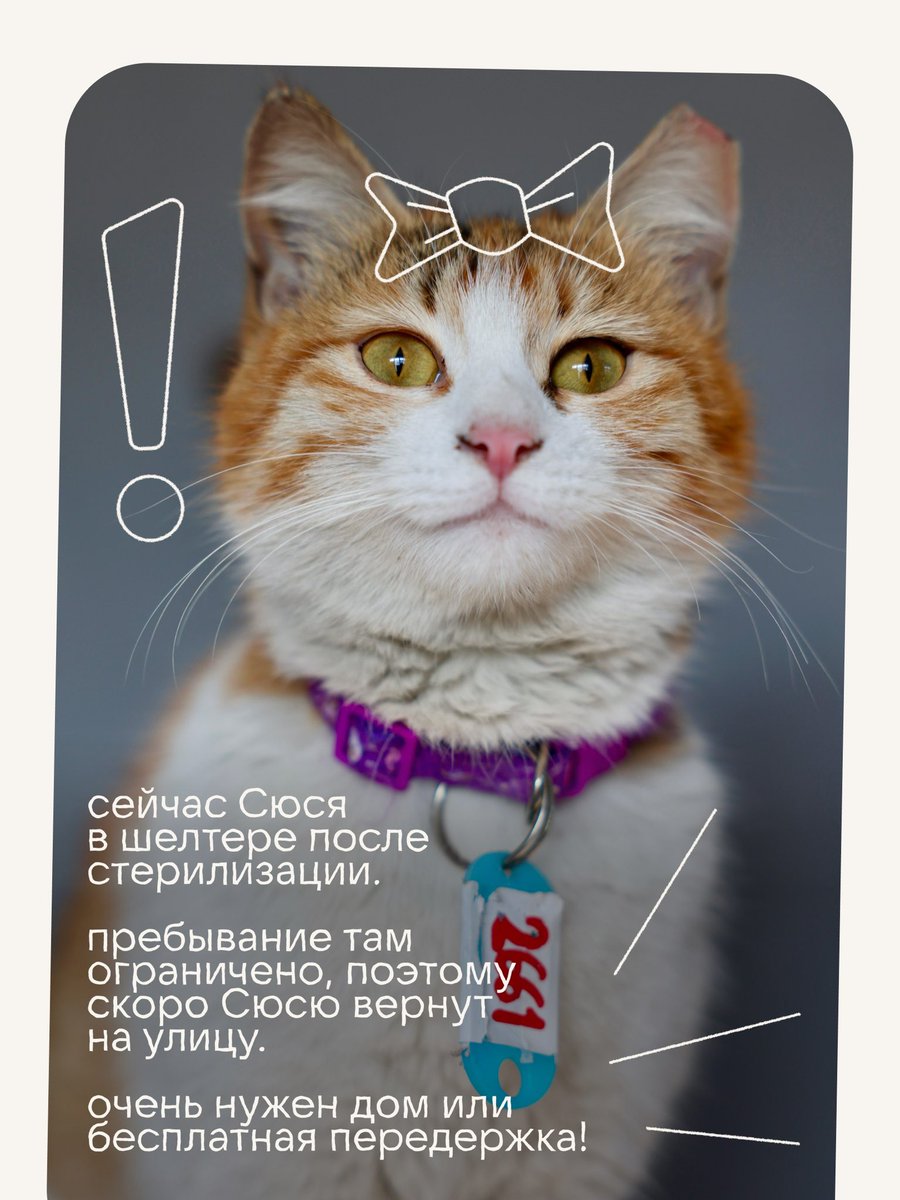 товарищ Верия tweet media