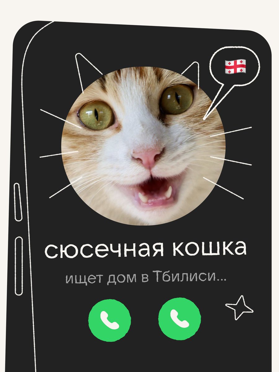 товарищ Верия tweet media