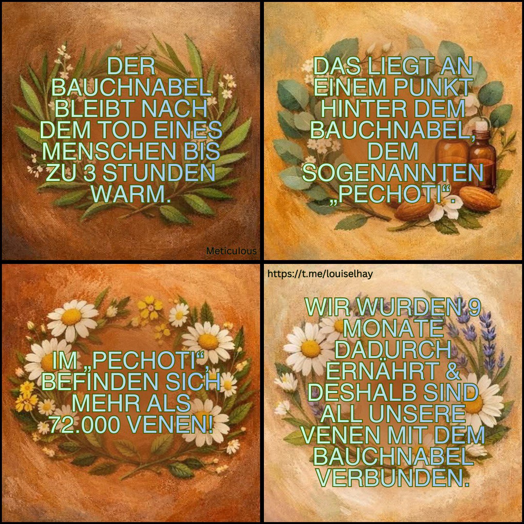 🇦🇹 Elke 🇦🇹 tweet media