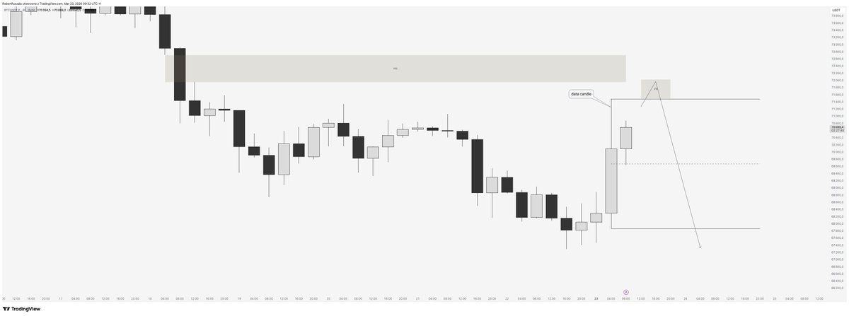El Profesor tweet media