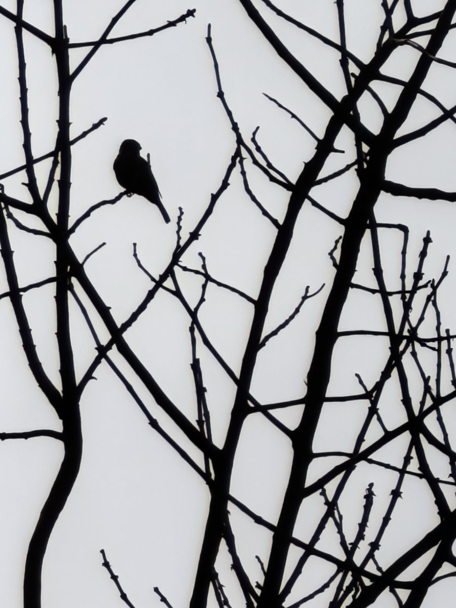 James O Merritt tweet media