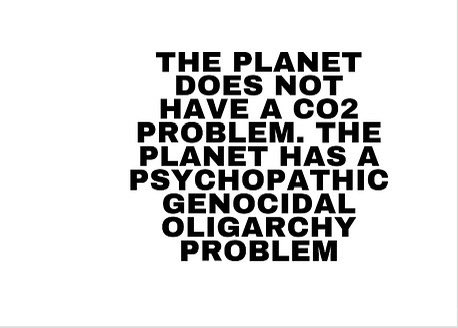 Terri Nelson tweet media