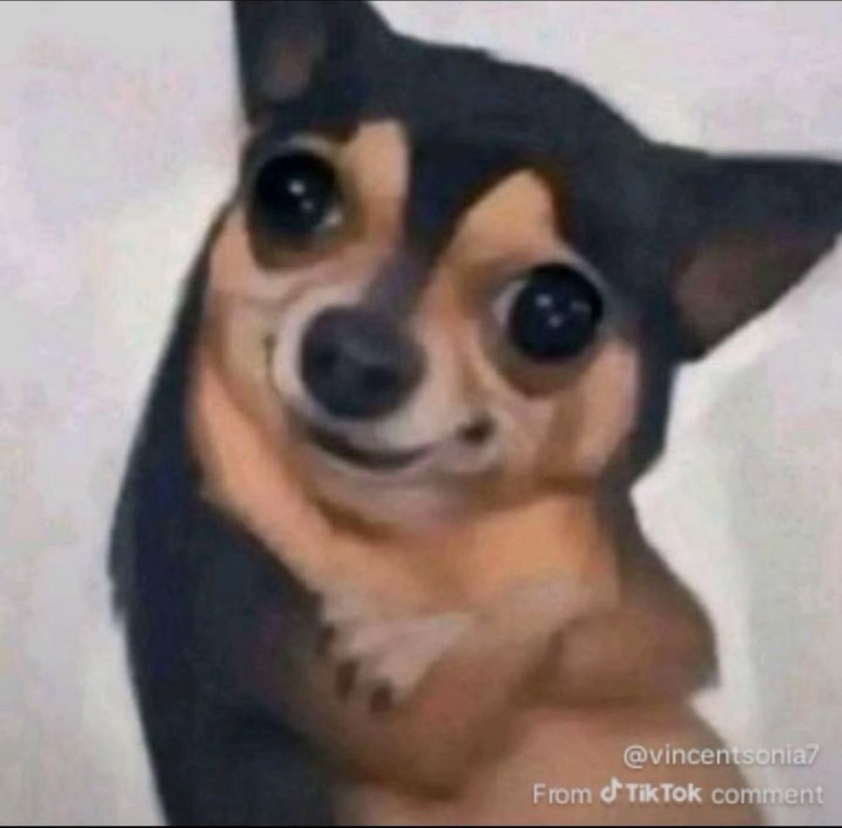 Mesh⚡️ tweet media