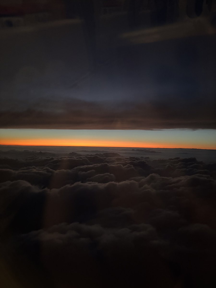 まちこ🦵痩せろよ tweet media