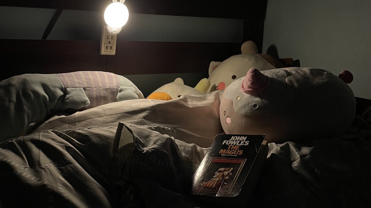 jan 🫜 tweet media