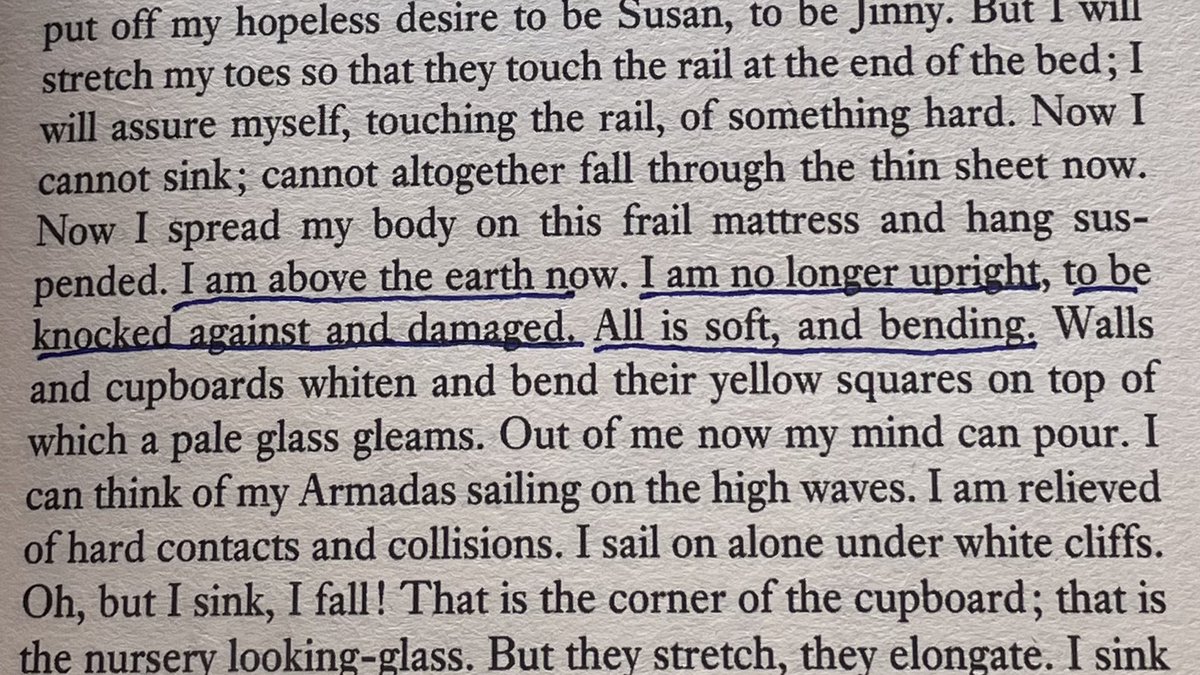 jan 🫜 tweet media