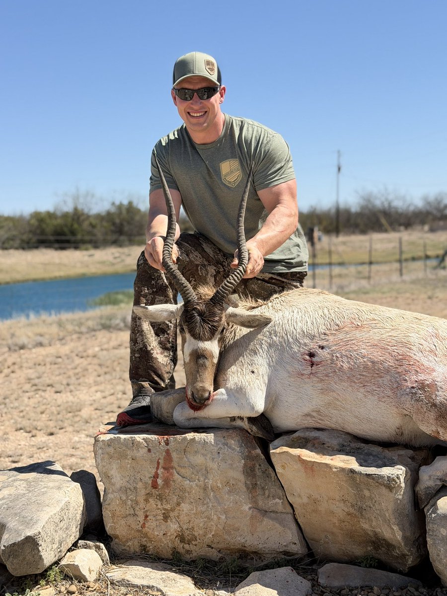 Carl Higbie tweet media