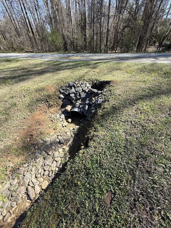 Carolina Terrain tweet media